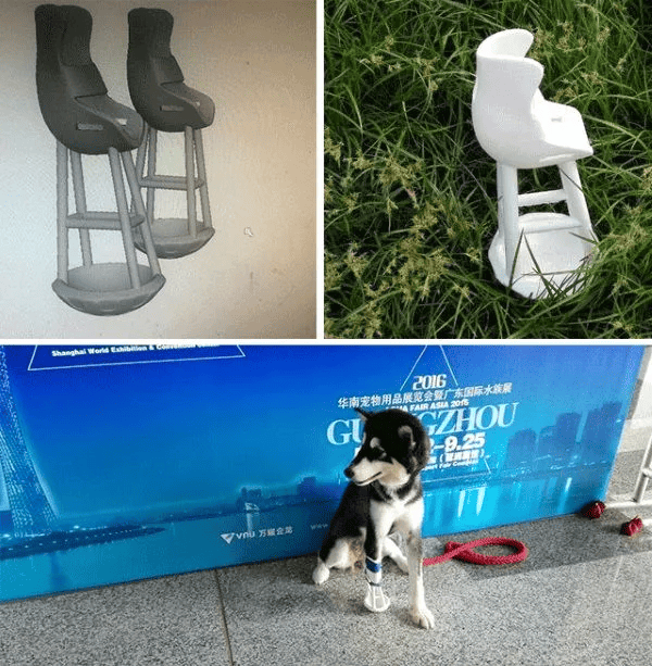 Что мы можем напечатать на 3D принтере для зоомагазина?
