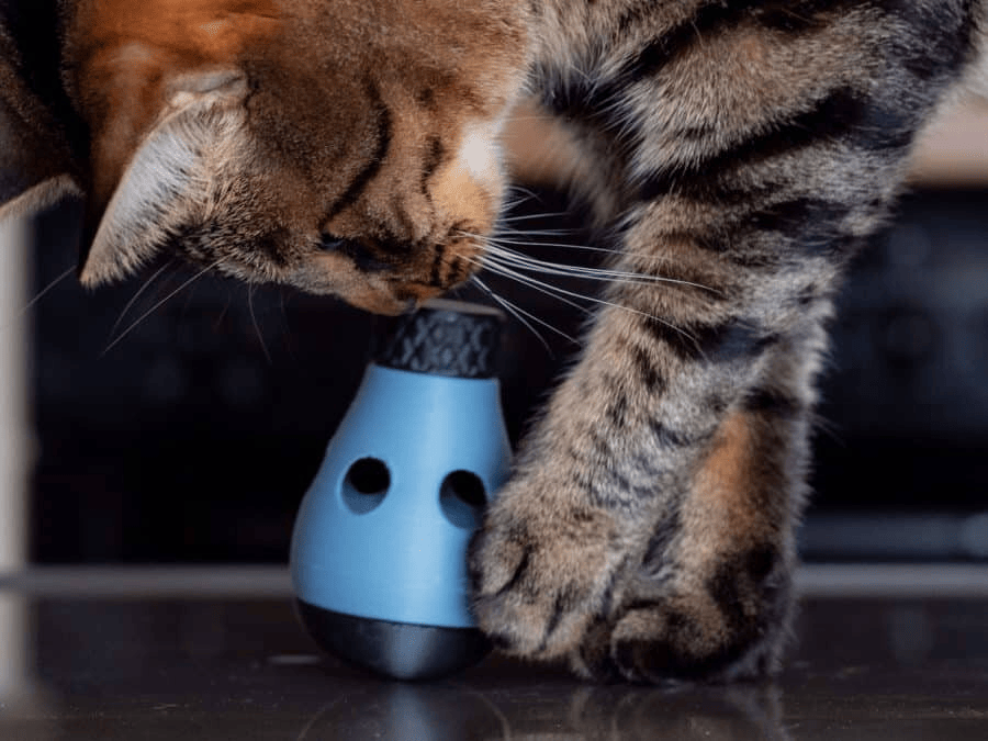 25 лучших игрушек для кошек, созданных с помощью 3D-принтера: забавные модели 2025 года