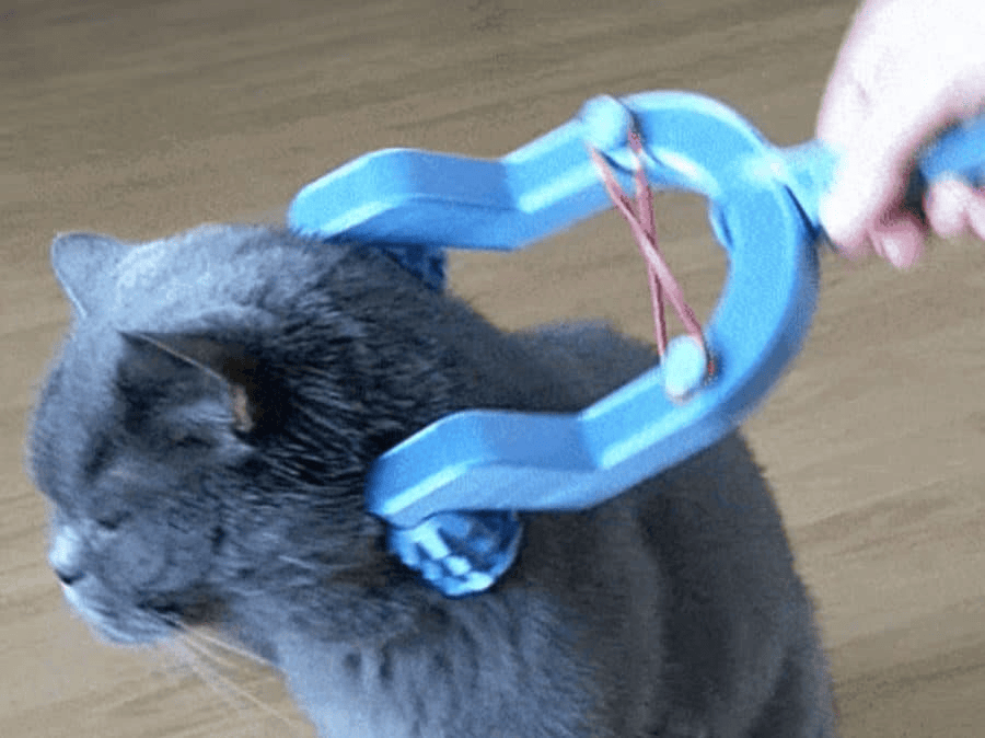 25 лучших игрушек для кошек, созданных с помощью 3D-принтера: забавные модели 2025 года